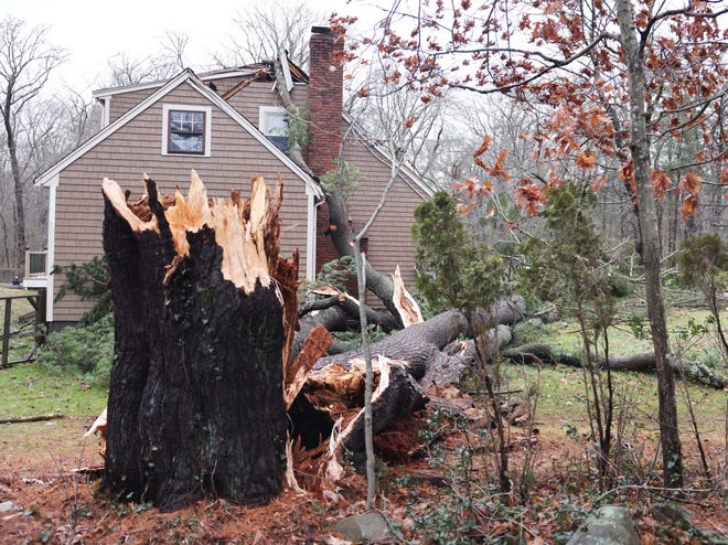 A tree lands on a house on Aldrich Street in Bridgewater during a storm on Monday, Dec. 18, 2023.