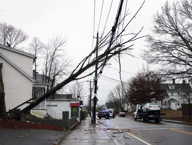 A tree falls on a power line on Pleasant Street and Nye Avenue in Brockton during a storm on Monday, Dec. 18, 2023.