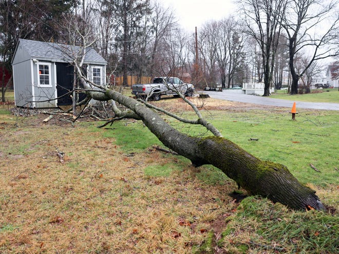 A tree falls on a shed on Matfield Street in West Bridgewater during a storm on Monday, Dec. 18, 2023.